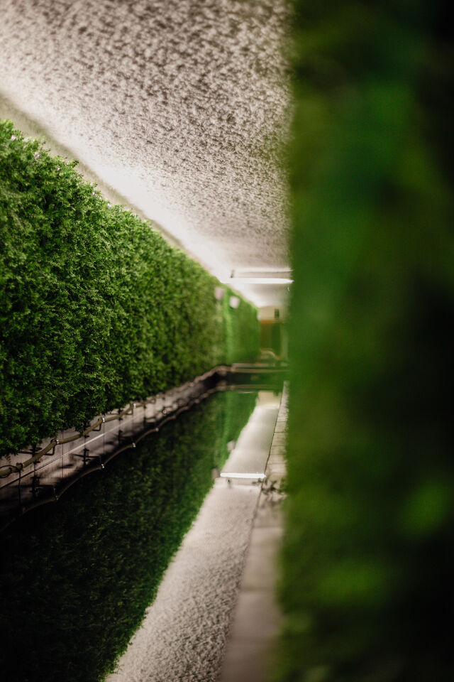 Groene oase